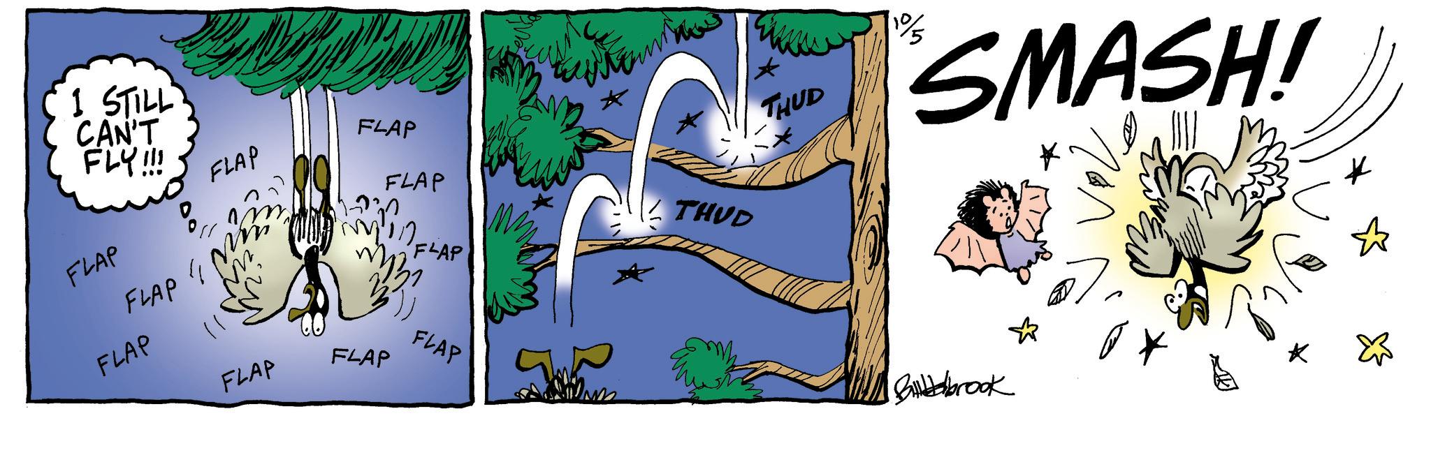 Illustration OCR: I STILL CAN'T FLY!!! FLAP FLAP " FLAP FLAP FLAP FLAP FLAP FLAP FLAP FLAP THUD THUD 1%5 SMASH! brook E I STILL CAN'T FLY !!! FLAP FLAP " FLAP FLAP FLAP FLAP FLAP FLAP FLAP FLAP THUD THUD 1 % 5 SMASH ! brook E