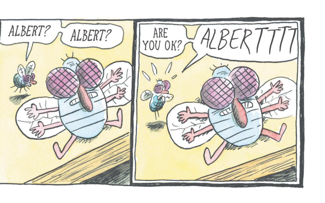 Fiction OCR: ALBERT? ALBERT? ARE YOU OK? ALBERTTIT ALBERT ? ALBERT ? ARE YOU OK ? ALBERTTIT