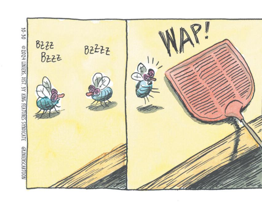 Pattern OCR: 10-30 2024 LINIERSDIST. BY KING FEATURES SYNDICATE @LINIERSCARTOON BZZZ Bzzz BZZZZ ? WAP! 10-30 2024 LINIERSDIST . BY KING FEATURES SYNDICATE @LINIERSCARTOON BZZZ Bzzz BZZZZ ? WAP !