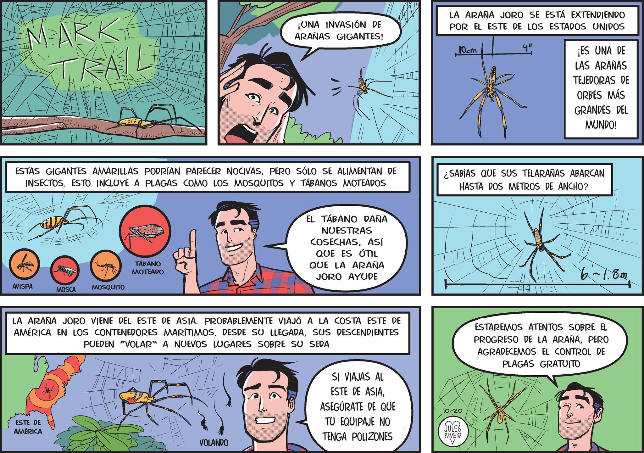 Sharing OCR: ARK ¡UNA INVASIÓN DE ARAÑAS GIGANTES! LA ARAÑA JORO SE ESTÁ EXTENDIENDO POR EL ESTE DE LOS ESTADOS UNIDOS 10cm 4" ¡ES UNA DE LAS ARAÑAS TEJEDORAS DE ORBES MÁS GRANDES DEL MUNDO! ESTAS GIGANTES AMARILLAS PODRÍAN PARECER NOCIVASPERO SÓLO SE ALIMENTAN DE INSECTOS. ESTO INCLUYE A PLAGAS COMO LOS MOSQUITOS Y TÁBANOS MOTEADOS ¿SABÍAS QUE SUS TELARAÑAS ABARCAN HASTA DOS METROS DE ANCHO? TÁBANO MOTEADO AVISPA MOSQUITO MOSCA EL TÁBANO DAÑA NUESTRAS COSECHASASÍ QUE ES ÚTIL QUE LA ARAÑA JORO AYUDE MIII 6-1.8m LA ARAÑA JORO VIENE DEL ESTE DE ASIA. PROBABLEMENTE VIAJÓ A LA COSTA ESTE DE AMÉRICA EN LOS CONTENEDORES MARÍTIMOS. DESDE SU LLEGADASUS DESCENDIENTES PUEDEN "VOLAR" A NUEVOS LUGARES SOBRE SU SEDA ESTAREMOS ATENTOS SOBRE EL PROGRESO DE LA ARAÑAPERO AGRADECEMOS EL CONTROL DE PLAGAS GRATUITO ESTE DE AMÉRICA VOLANDO SI VIAJAS AL ESTE DE ASIAASEGÚRATE DE QUE TU EQUIPAJE NO TENGA POLIZONES 10-20 JULES RIVERA ARK ¡ UNA INVASIÓN DE ARAÑAS GIGANTES ! LA ARAÑA JORO SE ESTÁ EXTENDIENDO POR EL ESTE DE LOS ESTADOS UNIDOS 10cm 4 " ¡ ES UNA DE LAS ARAÑAS TEJEDORAS DE ORBES MÁS GRANDES DEL MUNDO ! ESTAS GIGANTES AMARILLAS PODRÍAN PARECER NOCIVASPERO SÓLO SE ALIMENTAN DE INSECTOS . ESTO INCLUYE A PLAGAS COMO LOS MOSQUITOS Y TÁBANOS MOTEADOS ¿ SABÍAS QUE SUS TELARAÑAS ABARCAN HASTA DOS METROS DE ANCHO ? TÁBANO MOTEADO AVISPA MOSQUITO MOSCA EL TÁBANO DAÑA NUESTRAS COSECHASASÍ QUE ES ÚTIL QUE LA ARAÑA JORO AYUDE MIII 6-1.8m LA ARAÑA JORO VIENE DEL ESTE DE ASIA . PROBABLEMENTE VIAJÓ A LA COSTA ESTE DE AMÉRICA EN LOS CONTENEDORES MARÍTIMOS . DESDE SU LLEGADASUS DESCENDIENTES PUEDEN " VOLAR " A NUEVOS LUGARES SOBRE SU SEDA ESTAREMOS ATENTOS SOBRE EL PROGRESO DE LA ARAÑAPERO AGRADECEMOS EL CONTROL DE PLAGAS GRATUITO ESTE DE AMÉRICA VOLANDO SI VIAJAS AL ESTE DE ASIAASEGÚRATE DE QUE TU EQUIPAJE NO TENGA POLIZONES 10-20 JULES RIVERA