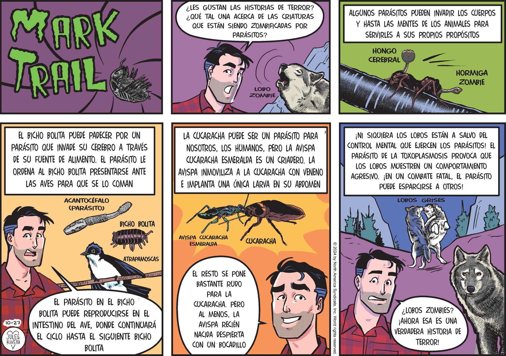 Publication OCR: MORK TRAIL ¿LES GUSTAN LAS HISTORIAS DE TERROR? ¿QUE TAL UNA ACERCA DE LAS CRIATURAS QUE ESTÁN SIENDO ZOMBIFICADAS POR PARÁSITOS? LOBO ZOMBIE ALGUNOS PARASITOS PUEDEN INVADIR LOS CUERPOS Y HASTA LAS MENTES DE LOS ANIMALES PARA SERVIRLES A SUS PROPIOS PROPÓSITOS HONGO CEREBRAL HORMIGA ZOMBIE EL BICHO BOLITA PUEDE PADECER POR UN PARÁSITO QUE INVADE SU CEREBRO A TRAVÉS DE SU FUENTE DE ALIMENTO. EL PARÁSITO LE ORDENA AL BICHO BOLITA PRESENTARSE ANTE LAS AVES PARA QUE SE LO COMAN ACANTOCÉFALO (PARÁSITO) LA CUCARACHA PUEDE SER UN PARÁSITO PARA NOSOTROSPERO LA AVISPA CUCARACHA ESMERALDA ES UN CRIADERO. LA AVISPA INMOVILIZA A LA CUCARACHA CON VENENO E IMPLANTA UNA ÚNICA LARVA EN SU ABDOMEN ¡NI SIQUIERA LOS LOBOS ESTÁN A SALVO DEL CONTROL MENTAL QUE EJERCEN LOS PARÁSITOS! EL PARÁSITO DE LA TOXOPLASMOSIS PROVOCA QUE LOS LOBOS MUESTREN UN COMPORTAMIENTO AGRESIVO. ¡EN UN COMBATE FATALEL PARÁSITO PUEDE ESPARCIRSE A OTROS! LOBOS GRISES BICHO BOLITA AVISPA CUCARACHA ESMERALDA CUCARACHA ATRAPAMOSCAS TO-27 JULES RIVERA EL PARASITO EN EL BICHO BOLITA PUEDE REPRODUCIRSE EN EL INTESTINO DEL AVEDONDE CONTINUARÁ EL CICLO HASTA EL SIGUIENTE BICHO BOLITA EL RESTO SE PONE BASTANTE RUDO PARA LA CUCARACHA. PERO AL MENOSLA AVISPA RECIÉN NACIDA DESPIERTA CON UN BOCADILLO 2024 by North America SyndicateInc. World rights reserved. ¿LOBOS ZOMBIES? ¡AHORA ESA ES UNA VERDADERA HISTORIA DE TERROR! MORK TRAIL ¿ LES GUSTAN LAS HISTORIAS DE TERROR ? ¿ QUE TAL UNA ACERCA DE LAS CRIATURAS QUE ESTÁN SIENDO ZOMBIFICADAS POR PARÁSITOS ? LOBO ZOMBIE ALGUNOS PARASITOS PUEDEN INVADIR LOS CUERPOS Y HASTA LAS MENTES DE LOS ANIMALES PARA SERVIRLES A SUS PROPIOS PROPÓSITOS HONGO CEREBRAL HORMIGA ZOMBIE EL BICHO BOLITA PUEDE PADECER POR UN PARÁSITO QUE INVADE SU CEREBRO A TRAVÉS DE SU FUENTE DE ALIMENTO . EL PARÁSITO LE ORDENA AL BICHO BOLITA PRESENTARSE ANTE LAS AVES PARA QUE SE LO COMAN ACANTOCÉFALO ( PARÁSITO ) LA CUCARACHA PUEDE SER UN PARÁSITO PARA NOSOTROSLOS HUMANOSPERO LA AVISPA CUCARACHA ESMERALDA ES UN CRIADERO . LA AVISPA INMOVILIZA A LA CUCARACHA CON VENENO E IMPLANTA UNA ÚNICA LARVA EN SU ABDOMEN ¡ NI SIQUIERA LOS LOBOS ESTÁN A SALVO DEL CONTROL MENTAL QUE EJERCEN LOS PARÁSITOS ! EL PARÁSITO DE LA TOXOPLASMOSIS PROVOCA QUE LOS LOBOS MUESTREN UN COMPORTAMIENTO AGRESIVO . ¡ EN UN COMBATE FATALEL PARÁSITO PUEDE ESPARCIRSE A OTROS ! LOBOS GRISES BICHO BOLITA AVISPA CUCARACHA ESMERALDA CUCARACHA ATRAPAMOSCAS TO - 27 JULES RIVERA EL PARASITO EN EL BICHO BOLITA PUEDE REPRODUCIRSE EN EL INTESTINO DEL AVEDONDE CONTINUARÁ EL CICLO HASTA EL SIGUIENTE BICHO BOLITA EL RESTO SE PONE BASTANTE RUDO PARA LA CUCARACHA . PERO AL MENOSLA AVISPA RECIÉN NACIDA DESPIERTA CON UN BOCADILLO 2024 by North America SyndicateInc. World rights reserved . ¿ LOBOS ZOMBIES ? ¡ AHORA ESA ES UNA VERDADERA HISTORIA DE TERROR !