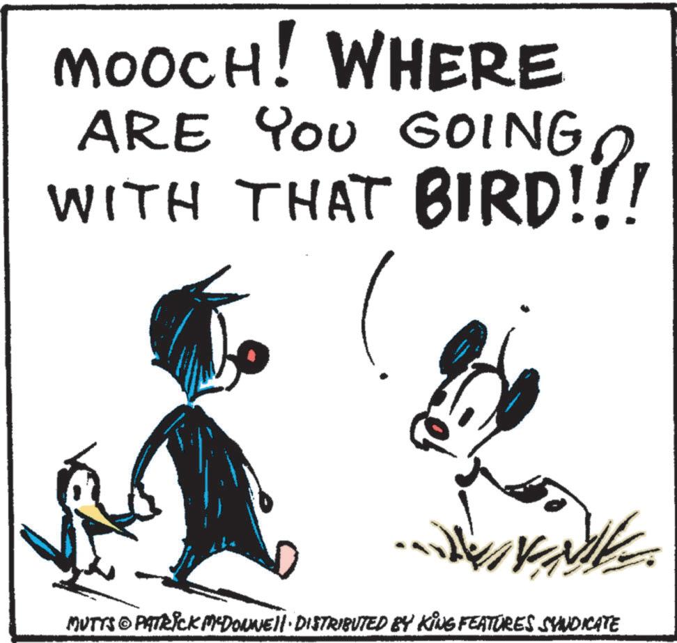 Photo caption OCR: MOOCH! WHERE ARE YOU GOING You WITH THAT BIRD!?! MUTTS © PATRICK MCDONNELL DISTRIBUTED BY KING FEATURES SYNDICATE MOOCH ! WHERE ARE YOU GOING You WITH THAT BIRD ! ? ! MUTTS © PATRICK MCDONNELL DISTRIBUTED BY KING FEATURES SYNDICATE