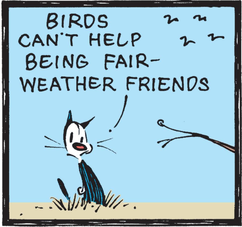 Poster OCR: BIRDS CAN'T HELP BEING FAIR- ? 22 WEATHER FRIENDS BIRDS CAN'T HELP BEING FAIR- ? 22 WEATHER FRIENDS