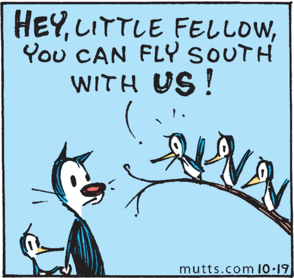 Drawing OCR: HEYYOU CAN FLY SOUTH WITH US! mutts.com 10.19 HEYLITTLE FELLOWYOU CAN FLY SOUTH WITH US ! mutts.com 10.19