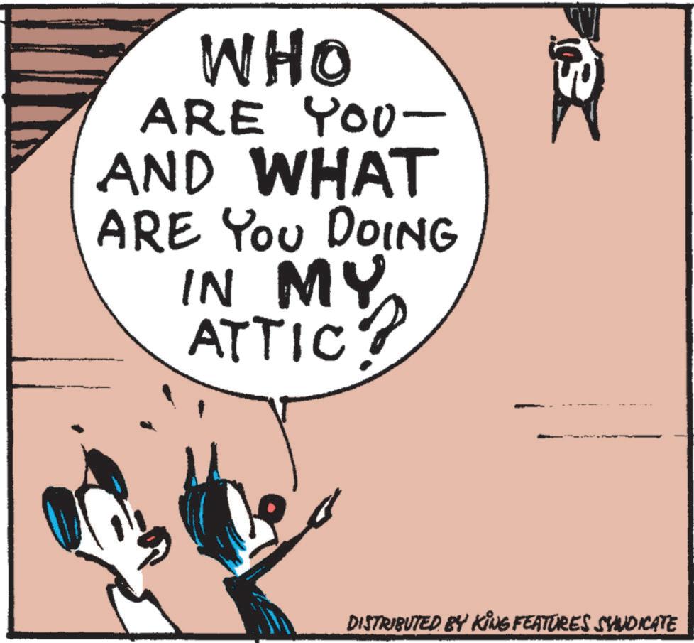 Humour OCR: WHO ARE YOU- ??? AND WHAT ARE YOU DOING IN MY ATTIC? Re DISTRIBUTED BY KING FEATURES SYNDICATE WHO ARE YOU- ??? AND WHAT ARE YOU DOING IN MY ATTIC ? Re DISTRIBUTED BY KING FEATURES SYNDICATE