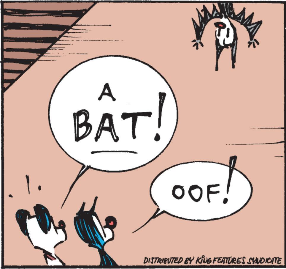 Mammal OCR: A BAT! OOF! DISTRIBUTED BY KING FEATURES SYNDICATE A BAT ! OOF ! DISTRIBUTED BY KING FEATURES SYNDICATE