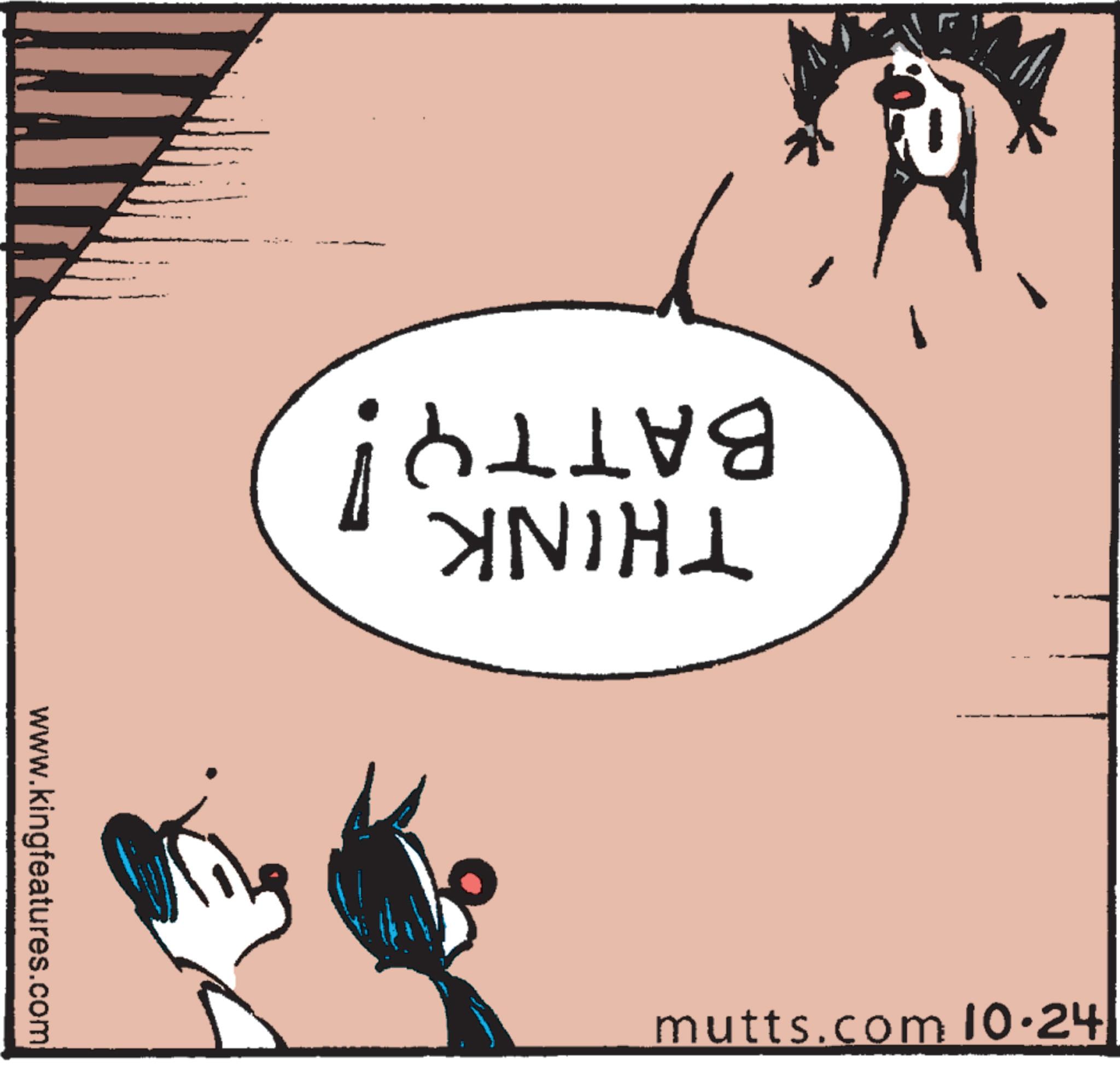 Drawing OCR: BATTY! THINK mutts.com 10·24| www.kingfeatures.com BATTY ! THINK mutts.com 10 · 24 | www.kingfeatures.com