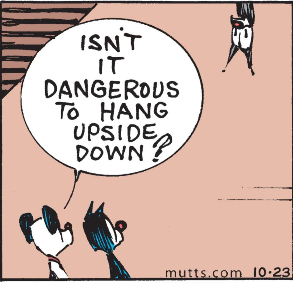 Pleased OCR: ISN'T IT DANGEROUS TO HANG UPSIDE DOWN i mutts.com 10.23 ISN'T IT DANGEROUS TO HANG UPSIDE DOWN i mutts.com 10.23