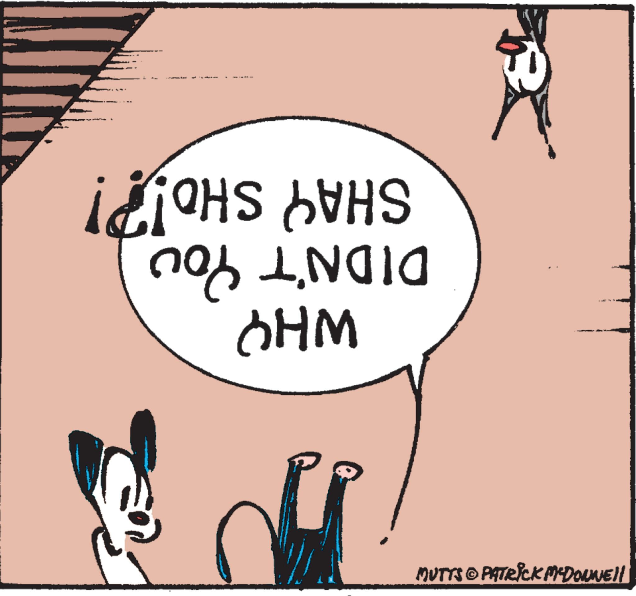 Happy OCR: WHY DIDN'T YOU SHAY SHO!!! MUTTS © PATRICK McDonnell WHY DIDN'T YOU SHAY SHO !!! MUTTS © PATRICK McDonnell