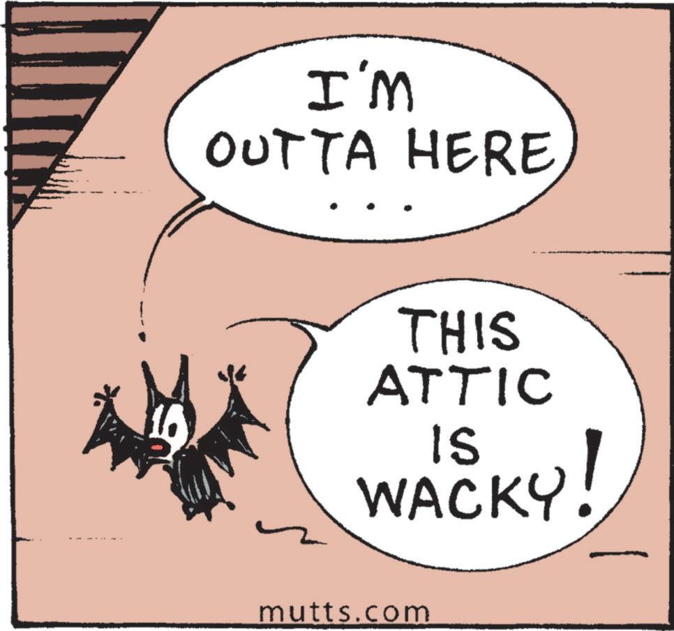 Happy OCR: ! I'M OUTTA HERE THIS ATTIC WACKY! mutts.com ! I'M OUTTA HERE THIS ATTIC WACKY ! mutts.com