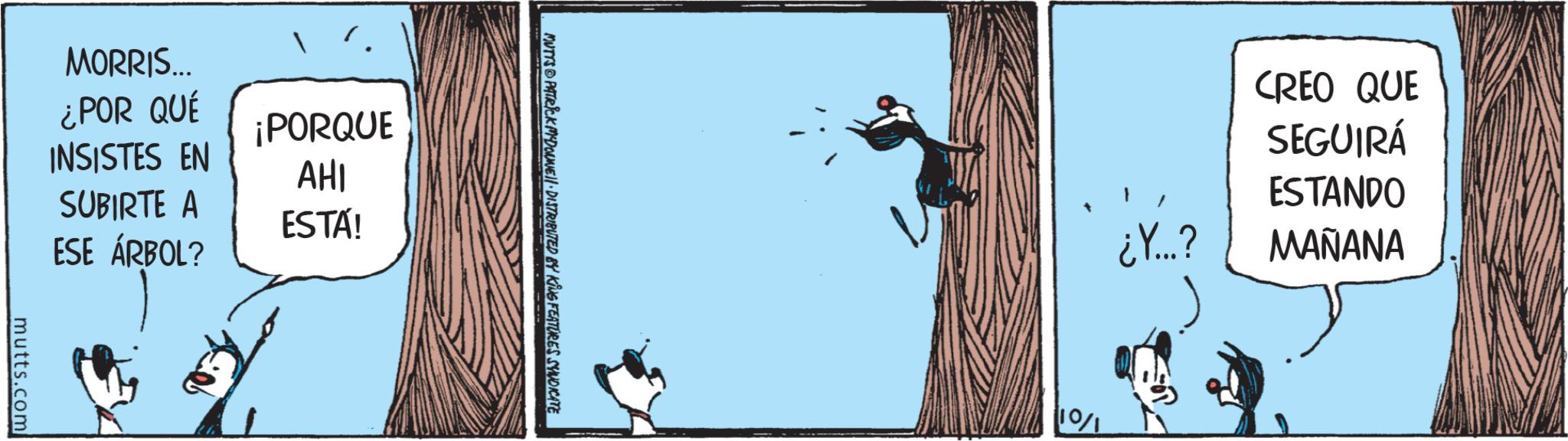 Visual arts OCR: MORRIS... ¿POR QUÉ INSISTES EN ¡PORQUE AHI SUBIRTE A ESTA! ESE ÁRBOL? mutts.com MUTTS PATRICK MADONNELL DISTRIBUTED BY KING FEATURES SYNDICATE CREO QUE SEGUIRÁ ESTANDO ¿Y...? MAÑANA 10/1 MORRIS ... ¿ POR QUÉ INSISTES EN ¡ PORQUE AHI SUBIRTE A ESTA ! ESE ÁRBOL ? mutts.com MUTTS PATRICK MADONNELL DISTRIBUTED BY KING FEATURES SYNDICATE CREO QUE SEGUIRÁ ESTANDO ¿ Y ... ? MAÑANA 10/1