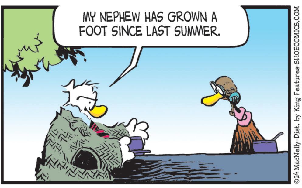 Animated cartoon OCR: MY NEPHEW HAS GROWN A FOOT SINCE LAST SUMMER. ? ? ?24 MacNelly-Dist. by King Features-SHOECOMICS.COM MY NEPHEW HAS GROWN A FOOT SINCE LAST SUMMER . ? ? ?24 MacNelly - Dist . by King Features-SHOECOMICS.COM