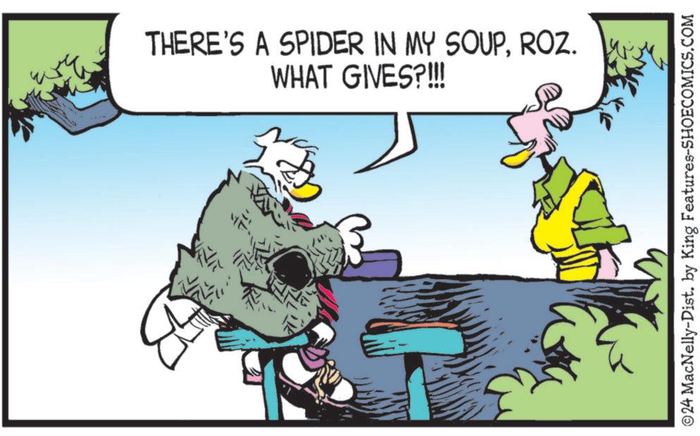 Illustration OCR: THERE'S A SPIDER IN MY SOUPROZ. WHAT GIVES?!!! ©24 MacNelly-Dist. by King Features-SHOECOMICS.COM THERE'S A SPIDER IN MY SOUPROZ . WHAT GIVES ? !!! © 24 MacNelly - Dist . by King Features-SHOECOMICS.COM