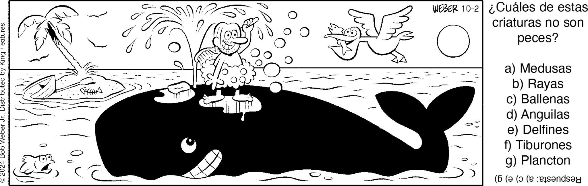 Monochrome OCR: ©2024 Bob Weber Jr.Distributed by King Features. 0 ? j WEBER 10-2 ¿Cuáles de estas criaturas no son peces? a) Medusas b) Rayas c) Ballenas d) Anguilas e) Delfines f) Tiburones g) Plancton ( ( ( ( send © 2024 Bob Weber Jr.Distributed by King Features . 0 ? j WEBER 10-2 ¿ Cuáles de estas criaturas no son peces ? a ) Medusas b ) Rayas c ) Ballenas d ) Anguilas e ) Delfines f ) Tiburones g ) Plancton ( ( ( ( send