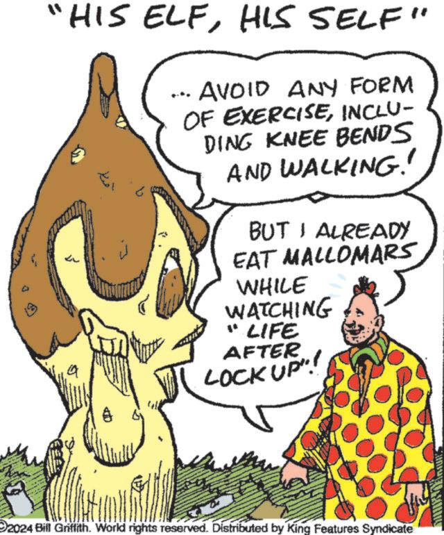 Mammal OCR: "HIS ELFHIS SELF" ??? ??? AVOID ANY FORM OF EXERCISEINCLU- DING KNEE BENDS AND WALKING!" BUT I ALREADY EAT MALLOMARS WHILE WATCHING "LIFE AFTER LOCK UP! 2024 Bill Griffith. World rights reserved. Distributed by King Features Syndicate VE " HIS ELFHIS SELF " ??? ??? AVOID ANY FORM OF EXERCISEINCLU- DING KNEE BENDS AND WALKING ! " BUT I ALREADY EAT MALLOMARS WHILE WATCHING " LIFE AFTER LOCK UP ! 2024 Bill Griffith . World rights reserved . Distributed by King Features Syndicate VE