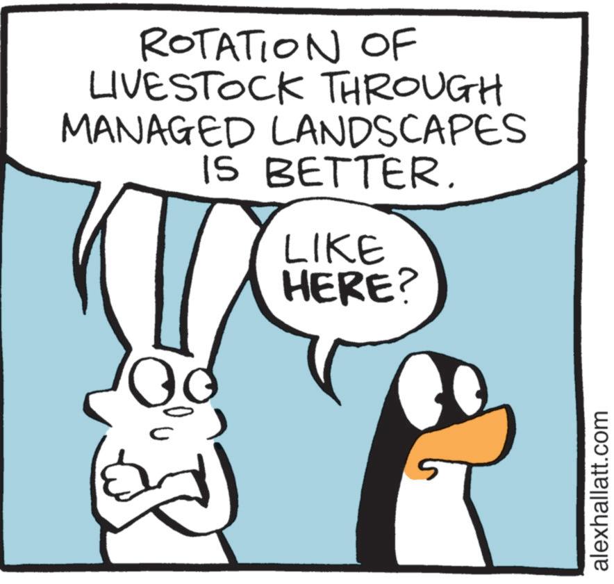 Line OCR: ROTATION OF LIVESTOCK THROUGH MANAGED LANDSCAPES IS BETTER. LIKE HERE? alexhallatt.com ROTATION OF LIVESTOCK THROUGH MANAGED LANDSCAPES IS BETTER . LIKE HERE ? alexhallatt.com