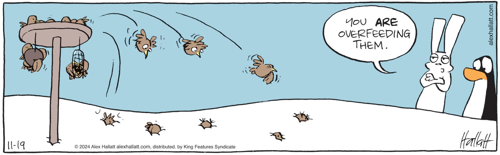 Slope OCR: 11-19 © 2024 Alex Hallatt alexhallatt.comdistributed. by King Features Syndicate YOU ARE OVERFEEDING THEM. Hallatt alexhallatt.com 11-19 © 2024 Alex Hallatt alexhallatt.comdistributed . by King Features Syndicate YOU ARE OVERFEEDING THEM . Hallatt alexhallatt.com
