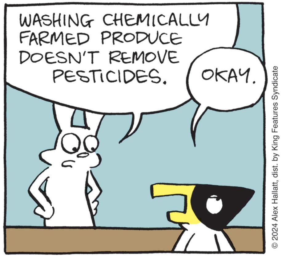 Mammal OCR: WASHING CHEMICALLY FARMED PRODUCE DOESN'T REMOVE PESTICIDES. OKAY. O2024 Alex Hallattdist. by King Features Syndicate WASHING CHEMICALLY FARMED PRODUCE DOESN'T REMOVE PESTICIDES . OKAY . O2024 Alex Hallattdist . by King Features Syndicate