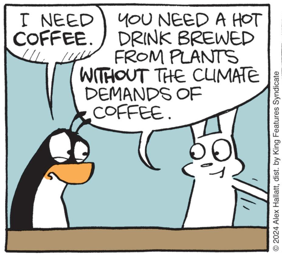 Font OCR: I NEED COFFEE. YOU NEED A HOT DRINK BREWED FROM PLANTS WITHOUT THE CLIMATE DEMANDS OF COFFEE. // O2024 Alex Hallattdist. by King Features Syndicate I NEED COFFEE . YOU NEED A HOT DRINK BREWED FROM PLANTS WITHOUT THE CLIMATE DEMANDS OF COFFEE . // O2024 Alex Hallattdist . by King Features Syndicate