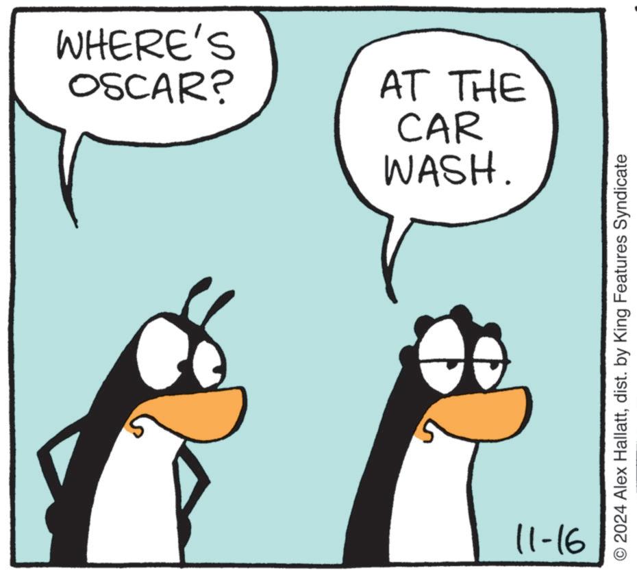 Font OCR: WHERE'S OSCAR? AT THE WASH. CAR 11-16 O2024 Alex Hallattdist. by King Features Syndicate WHERE'S OSCAR ? AT THE WASH . CAR 11-16 O2024 Alex Hallattdist . by King Features Syndicate