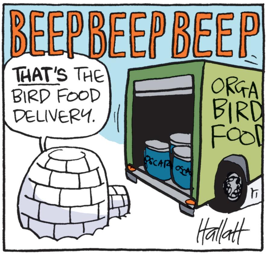 Drawing OCR: BEEP BEEP BEEP THAT'S THE BIRD FOOD DELIVERY. OSCAR OSCA ORGA BIRD Fool Hallatt BEEP BEEP BEEP THAT'S THE BIRD FOOD DELIVERY . OSCAR OSCA ORGA BIRD Fool Hallatt
