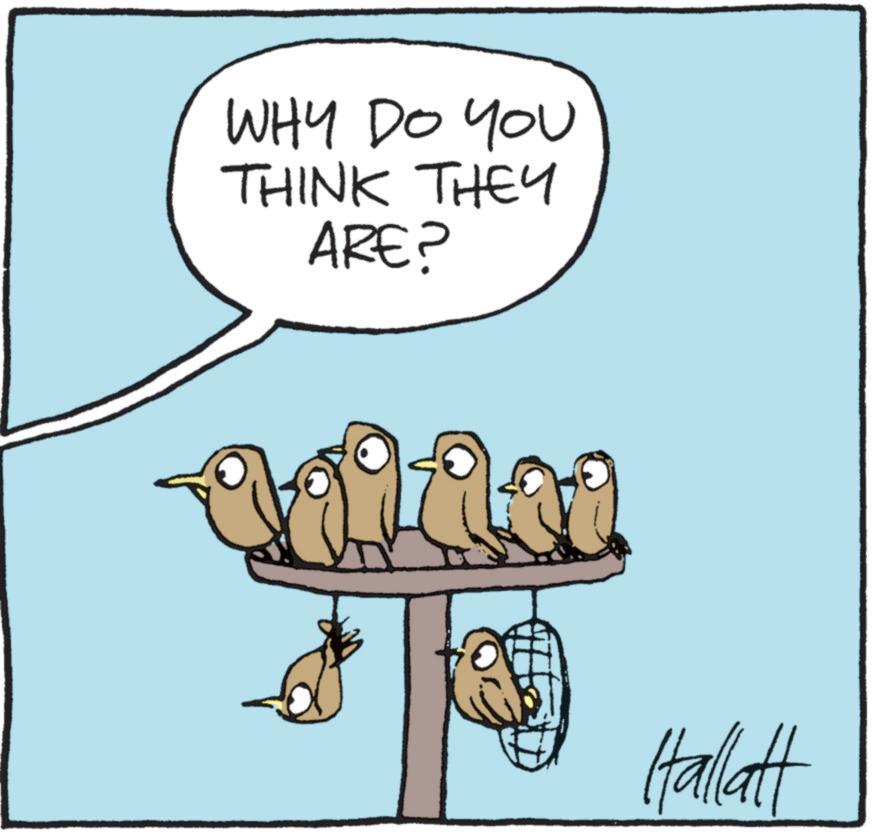 Bird OCR: WHY DO YOU THINK THEY ARE? Hallatt WHY DO YOU THINK THEY ARE ? Hallatt