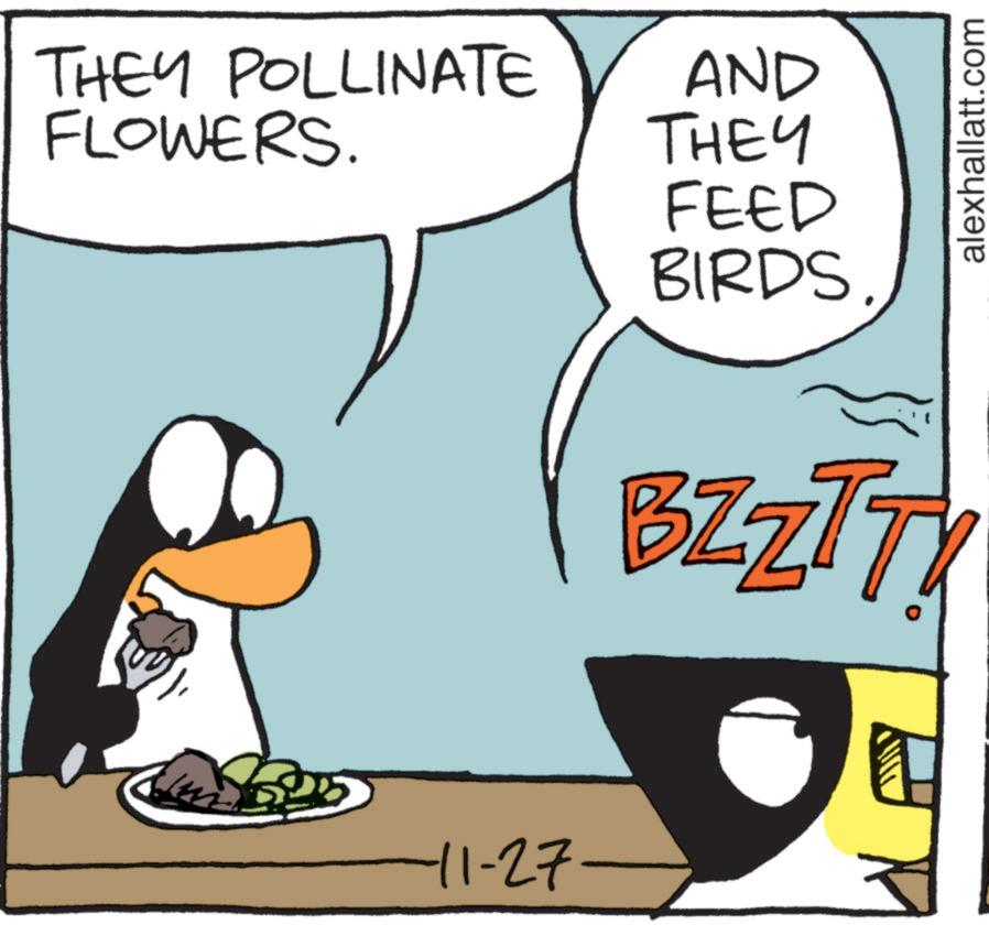 Happy OCR: THEY POLLINATE AND FLOWERS. THEY -11-27- FEED BIRDS BZZT TY alexhallatt.com THEY POLLINATE AND FLOWERS . THEY -11-27- FEED BIRDS BZZT TY alexhallatt.com