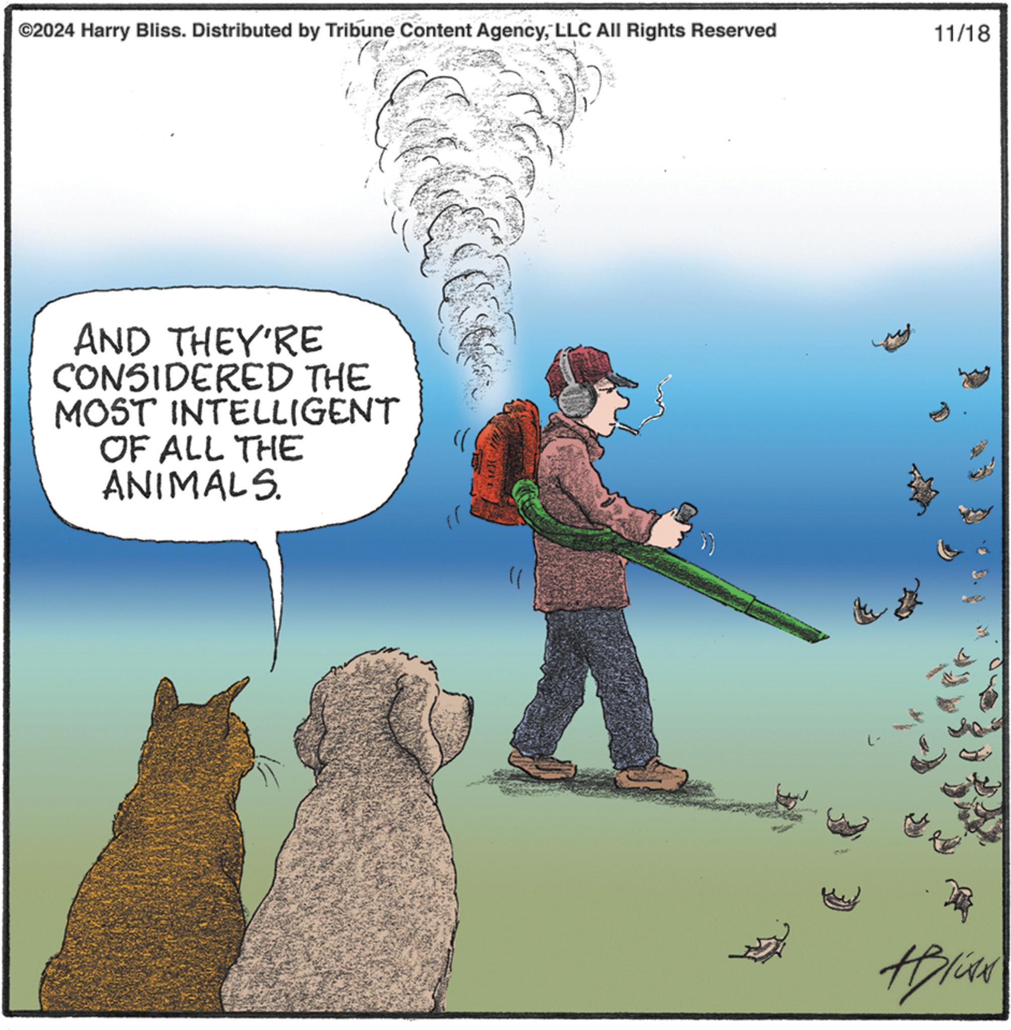 Art OCR: ©2024 Harry Bliss. Distributed by Tribune Content AgencyLLC All Rights Reserved AND THEY'RE CONSIDERED THE MOST INTELLIGENT OF ALL THE ANIMALS. 11/18 +Blue © 2024 Harry Bliss . Distributed by Tribune Content AgencyLLC All Rights Reserved AND THEY'RE CONSIDERED THE MOST INTELLIGENT OF ALL THE ANIMALS . 11/18 + Blue