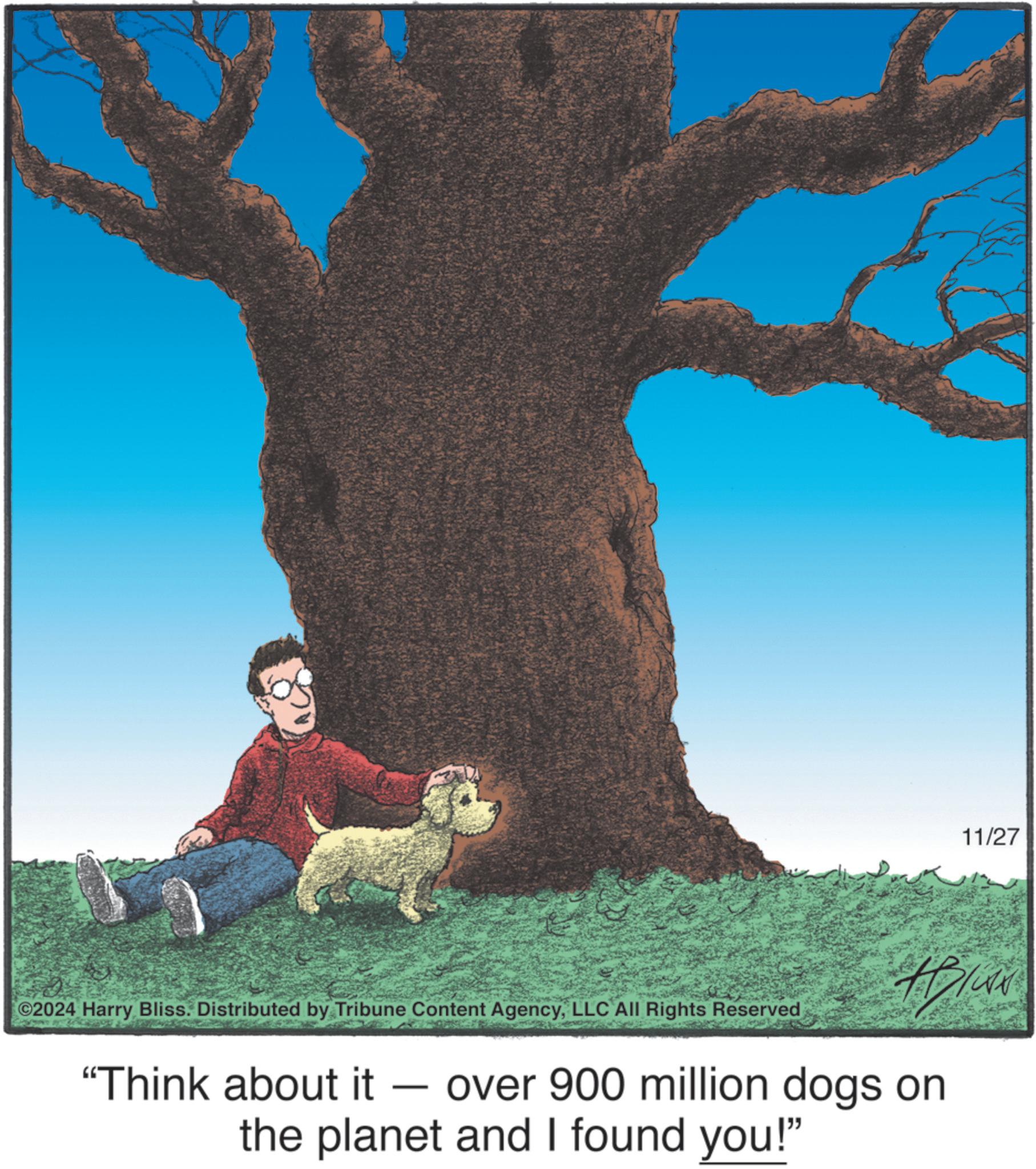 Trunk OCR: ©2024 Harry Bliss. Distributed by Tribune Content AgencyLLC All Rights Reserved "Think about it - over 900 million dogs on the planet and I found you!" 11/27 © 2024 Harry Bliss . Distributed by Tribune Content AgencyLLC All Rights Reserved " Think about it - over 900 million dogs on the planet and I found you ! " 11/27