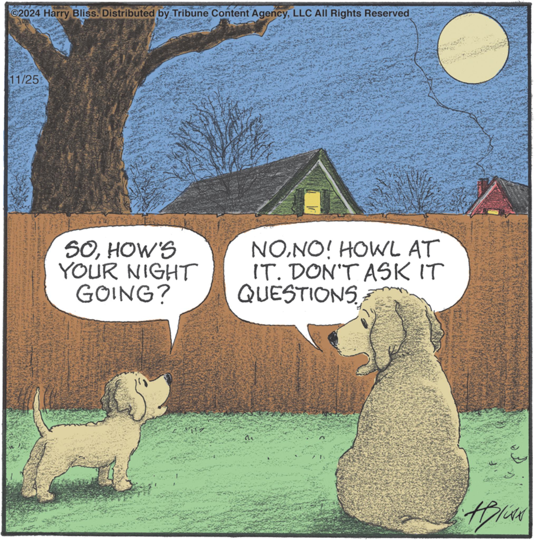 Adaptation OCR: ©2024 Harry Bliss. Distributed by Tribune Content AgencyLLC All Rights Reserved 11/25 SOHOW'S YOUR NIGHT GOING? NONO! HOWL AT IT. DON'T ASK IT QUESTIONS HBIAN © 2024 Harry Bliss . Distributed by Tribune Content AgencyLLC All Rights Reserved 11/25 SOHOW'S YOUR NIGHT GOING ? NONO ! HOWL AT IT . DON'T ASK IT QUESTIONS HBIAN