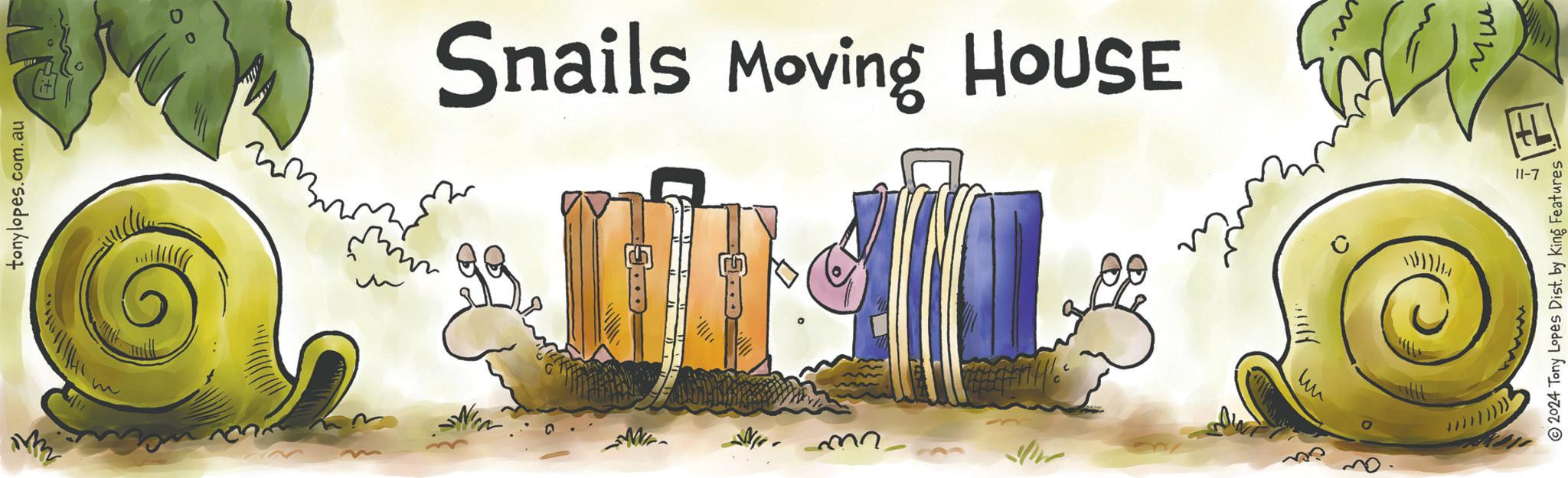 Formal wear OCR: tonylopes.com.au w ??? Snails Moving HOUSE ?? M ??? 11-7 2024 Tony Lopes Dist. by King Features tonylopes.com.au w ??? Snails Moving HOUSE ?? M ??? 11-7 2024 Tony Lopes Dist . by King Features