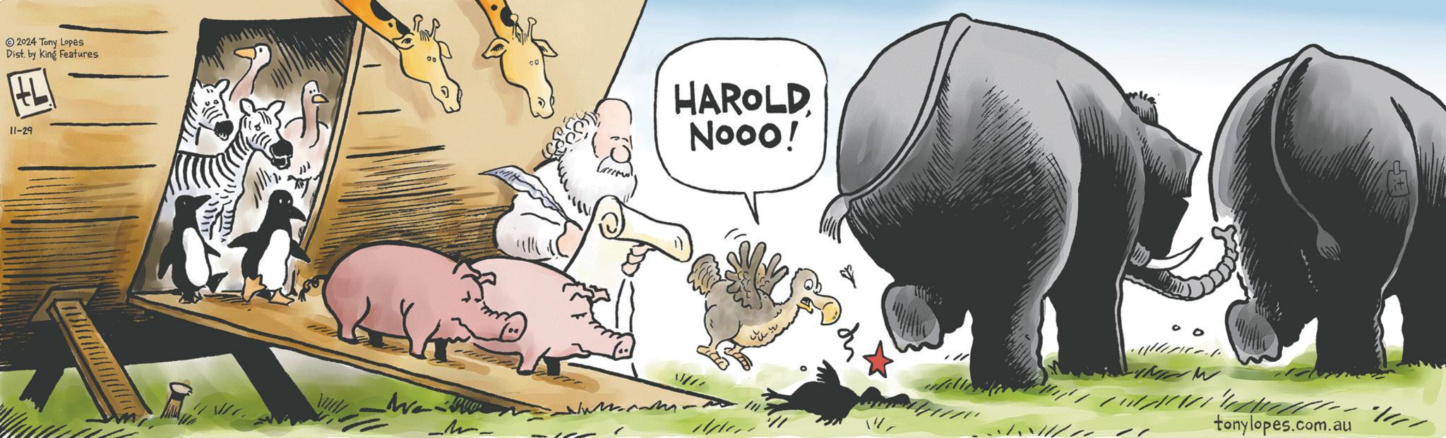 Illustration OCR: 2024 Tony Lopes Dist. by King Features 11-29 HAROLD Nooo! tonylopes.com.au 2024 Tony Lopes Dist . by King Features 11-29 HAROLD Nooo ! tonylopes.com.au