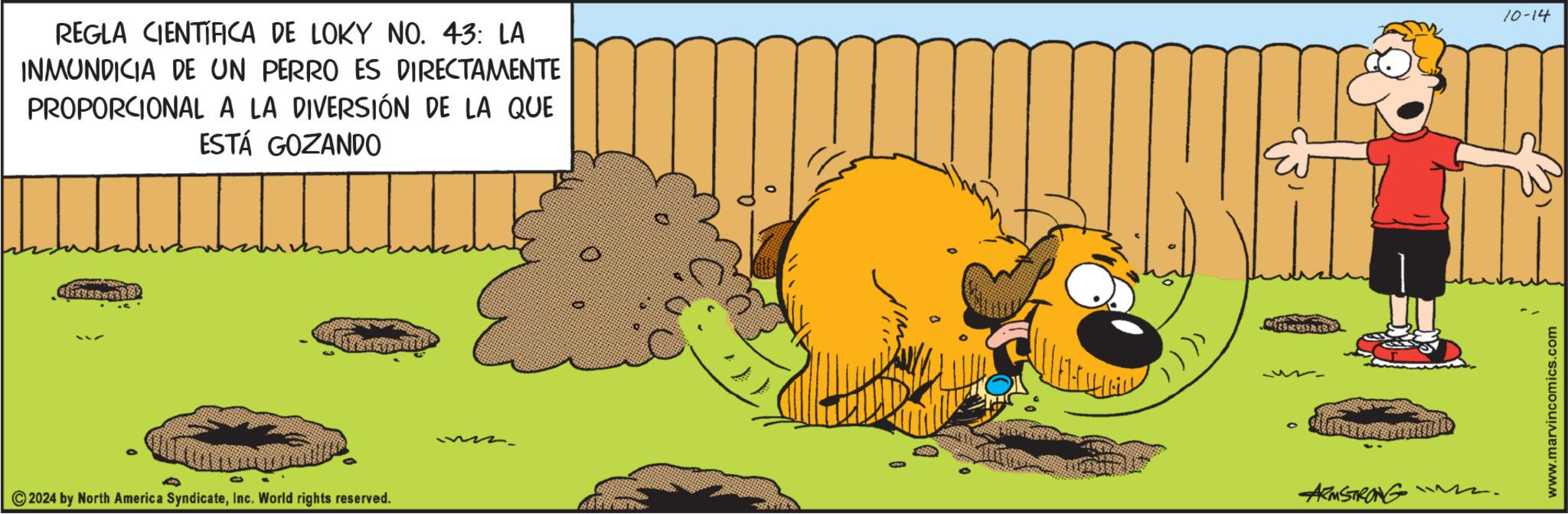 Terrestrial animal OCR: REGLA CIENTÍFICA DE LOKY NO. 43: LA INMUNDICIA DE UN PERRO ES DIRECTAMENTE PROPORCIONAL A LA DIVERSIÓN DE LA QUE ESTÁ GOZANDO ©2024 by North America SyndicateInc. World rights reserved. )))) ARMSTRONG www.marvincomics.com 10-14 REGLA CIENTÍFICA DE LOKY NO . 43 : LA INMUNDICIA DE UN PERRO ES DIRECTAMENTE PROPORCIONAL A LA DIVERSIÓN DE LA QUE ESTÁ GOZANDO © 2024 by North America SyndicateInc. World rights reserved . ) ) ) ) ARMSTRONG www.marvincomics.com 10-14