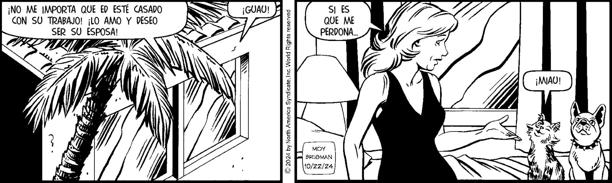 Parallel OCR: ¡NO ME IMPORTA QUE ED ESTÉ CASADO CON SU TRABAJO! ¡LO AMO Y DESEO SER SU ESPOSA! ¡GUAU! 2024 by North America Syndicate. Inc. World Rights reserved MOY BRIGMAN 10/22/24 SI ES QUE ME PERDONA... ¡MIAU! ¡ NO ME IMPORTA QUE ED ESTÉ CASADO CON SU TRABAJO ! ¡ LO AMO Y DESEO SER SU ESPOSA ! ¡ GUAU ! 2024 by North America Syndicate . Inc. World Rights reserved MOY BRIGMAN 10/22/24 SI ES QUE ME PERDONA ... ¡ MIAU !