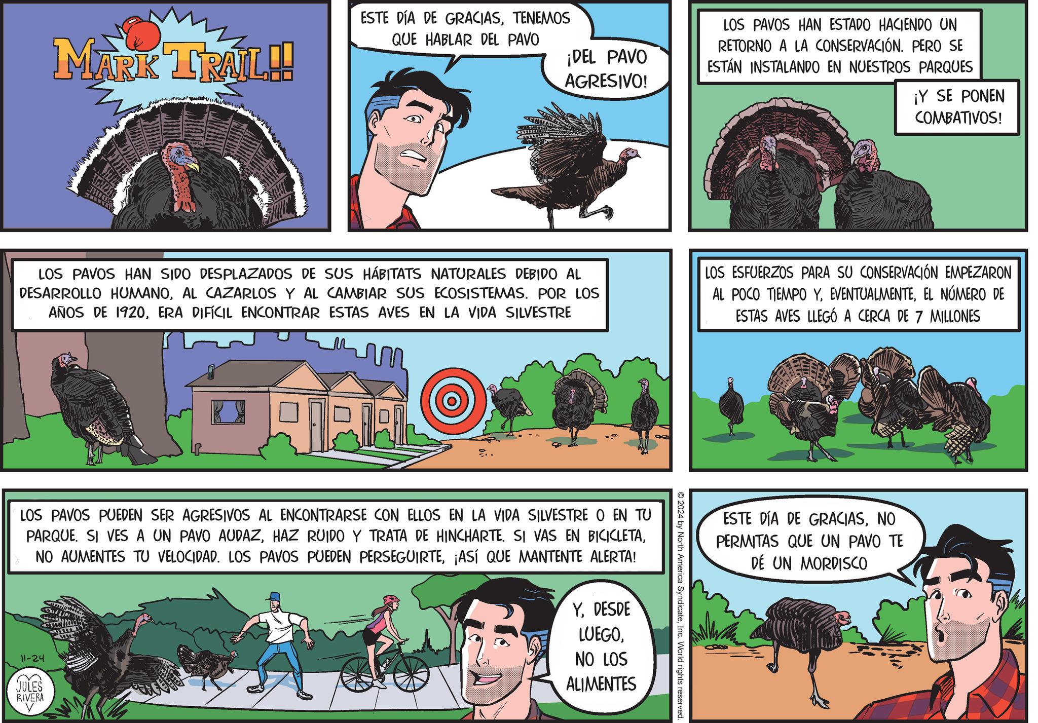 Art OCR: MARK TRAIL!! ESTE DÍA DE GRACIASTENEMOS QUE HABLAR DEL PAVO ¡DEL PAVO AGRESIVO! LOS PAVOS HAN ESTADO HACIENDO UN RETORNO A LA CONSERVACIÓN. PERO SE ESTÁN INSTALANDO EN NUESTROS PARQUES ¡Y SE PONEN COMBATIVOS! LOS PAVOS HAN SIDO DESPLAZADOS DE SUS HÁBITATS NATURALES DEBIDO AL DESARROLLO HUMANOAL CAZARLOS Y AL CAMBIAR SUS ECOSISTEMAS. POR LOS AÑOS DE 1920ERA DIFÍCIL ENCONTRAR ESTAS AVES EN LA VIDA SILVESTRE m LOS ESFUERZOS PARA SU CONSERVACIÓN EMPEZARON AL POCO TIEMPO YEL NÚMERO DE ESTAS AVES LLEGÓ A CERCA DE 7 MILLONES LOS PAVOS PUEDEN SER AGRESIVOS AL ENCONTRARSE CON ELLOS EN LA VIDA SILVESTRE O EN TU PARQUE. SI VES A UN PAVO AUDAZ¡ASÍ QUE MANTENTE ALERTA! 11-24 JULES RIVERA YDESDE LUEGONO LOS ALIMENTES © 2024 by North America SyndicateInc. World rights reserved. ESTE DÍA DE GRACIASNO PERMITAS QUE UN PAVO TE DE UN MORDISCO MARK TRAIL !! ESTE DÍA DE GRACIASTENEMOS QUE HABLAR DEL PAVO ¡ DEL PAVO AGRESIVO ! LOS PAVOS HAN ESTADO HACIENDO UN RETORNO A LA CONSERVACIÓN . PERO SE ESTÁN INSTALANDO EN NUESTROS PARQUES ¡ Y SE PONEN COMBATIVOS ! LOS PAVOS HAN SIDO DESPLAZADOS DE SUS HÁBITATS NATURALES DEBIDO AL DESARROLLO HUMANOAL CAZARLOS Y AL CAMBIAR SUS ECOSISTEMAS . POR LOS AÑOS DE 1920ERA DIFÍCIL ENCONTRAR ESTAS AVES EN LA VIDA SILVESTRE m LOS ESFUERZOS PARA SU CONSERVACIÓN EMPEZARON AL POCO TIEMPO YEL NÚMERO DE ESTAS AVES LLEGÓ A CERCA DE 7 MILLONES LOS PAVOS PUEDEN SER AGRESIVOS AL ENCONTRARSE CON ELLOS EN LA VIDA SILVESTRE O EN TU PARQUE . SI VES A UN PAVO AUDAZHAZ RUIDO Y TRATA DE HINCHARTE . SI VAS EN BICICLETANO AUMENTES TU VELOCIDAD . LOS PAVOS PUEDEN PERSEGUIRTE¡ ASÍ QUE MANTENTE ALERTA ! 11-24 JULES RIVERA YDESDE LUEGONO LOS ALIMENTES © 2024 by North America SyndicateInc. World rights reserved . ESTE DÍA DE GRACIASNO PERMITAS QUE UN PAVO TE DE UN MORDISCO