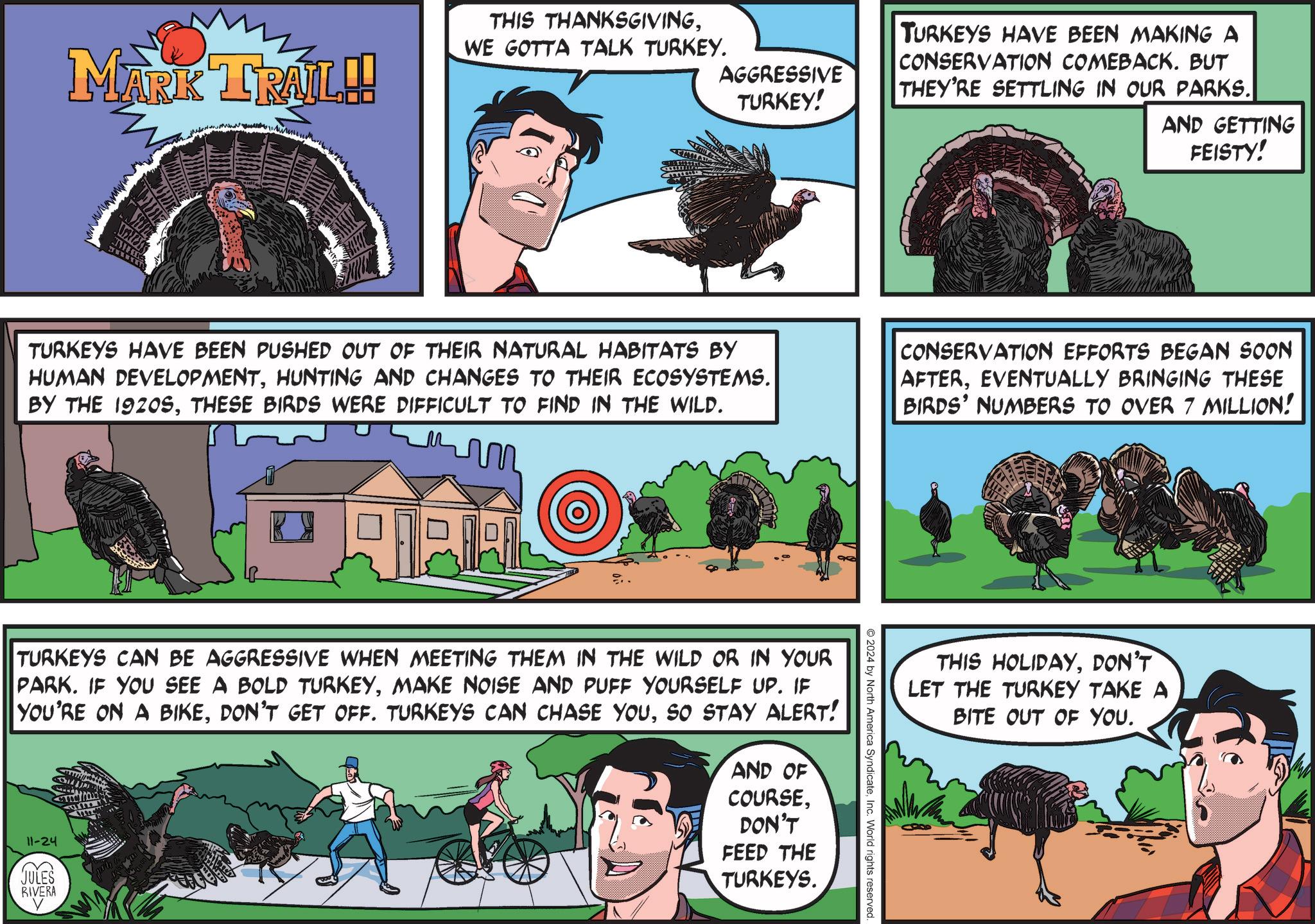 Comic book OCR: AGGRESSIVE TURKEY! TURKEYS HAVE BEEN MAKING A CONSERVATION COMEBACK. BUT THEY'RE SETTLING IN OUR PARKS. AND GETTING FEISTY! MARK TRAIL!! THIS THANKSGIVINGWE GOTTA TALK TURKEY. TURKEYS HAVE BEEN PUSHED OUT OF THEIR NATURAL HABITATS BY HUMAN DEVELOPMENTHUNTING AND CHANGES TO THEIR ECOSYSTEMS. BY THE 1920STHESE BIRDS WERE DIFFICULT TO FIND IN THE WILD. m CONSERVATION EFFORTS BEGAN SOON AFTEREVENTUALLY BRINGING THESE BIRDS' NUMBERS TO OVER 7 MILLION! THIS HOLIDAYDON'T LET THE TURKEY TAKE A BITE OUT OF YOU. 2024 by North America SyndicateInc. World rights reserved. TURKEYS CAN BE AGGRESSIVE WHEN MEETING THEM IN THE WILD OR IN YOUR PARK. IF YOU SEE A BOLD TURKEYMAKE NOISE AND PUFF YOURSELF UP. IF YOU'RE ON A BIKESO STAY ALERT! 11-24 JULES RIVERA AND OF COURSEDON'T FEED THE TURKEYS. AGGRESSIVE TURKEY ! TURKEYS HAVE BEEN MAKING A CONSERVATION COMEBACK . BUT THEY'RE SETTLING IN OUR PARKS . AND GETTING FEISTY ! MARK TRAIL !! THIS THANKSGIVINGWE GOTTA TALK TURKEY . TURKEYS HAVE BEEN PUSHED OUT OF THEIR NATURAL HABITATS BY HUMAN DEVELOPMENTHUNTING AND CHANGES TO THEIR ECOSYSTEMS . BY THE 1920STHESE BIRDS WERE DIFFICULT TO FIND IN THE WILD . m CONSERVATION EFFORTS BEGAN SOON AFTEREVENTUALLY BRINGING THESE BIRDS ' NUMBERS TO OVER 7 MILLION ! THIS HOLIDAYDON'T LET THE TURKEY TAKE A BITE OUT OF YOU . 2024 by North America SyndicateInc. World rights reserved . TURKEYS CAN BE AGGRESSIVE WHEN MEETING THEM IN THE WILD OR IN YOUR PARK . IF YOU SEE A BOLD TURKEYMAKE NOISE AND PUFF YOURSELF UP . IF YOU'RE ON A BIKEDON'T GET OFF . TURKEYS CAN CHASE YOUSO STAY ALERT ! 11-24 JULES RIVERA AND OF COURSEDON'T FEED THE TURKEYS .