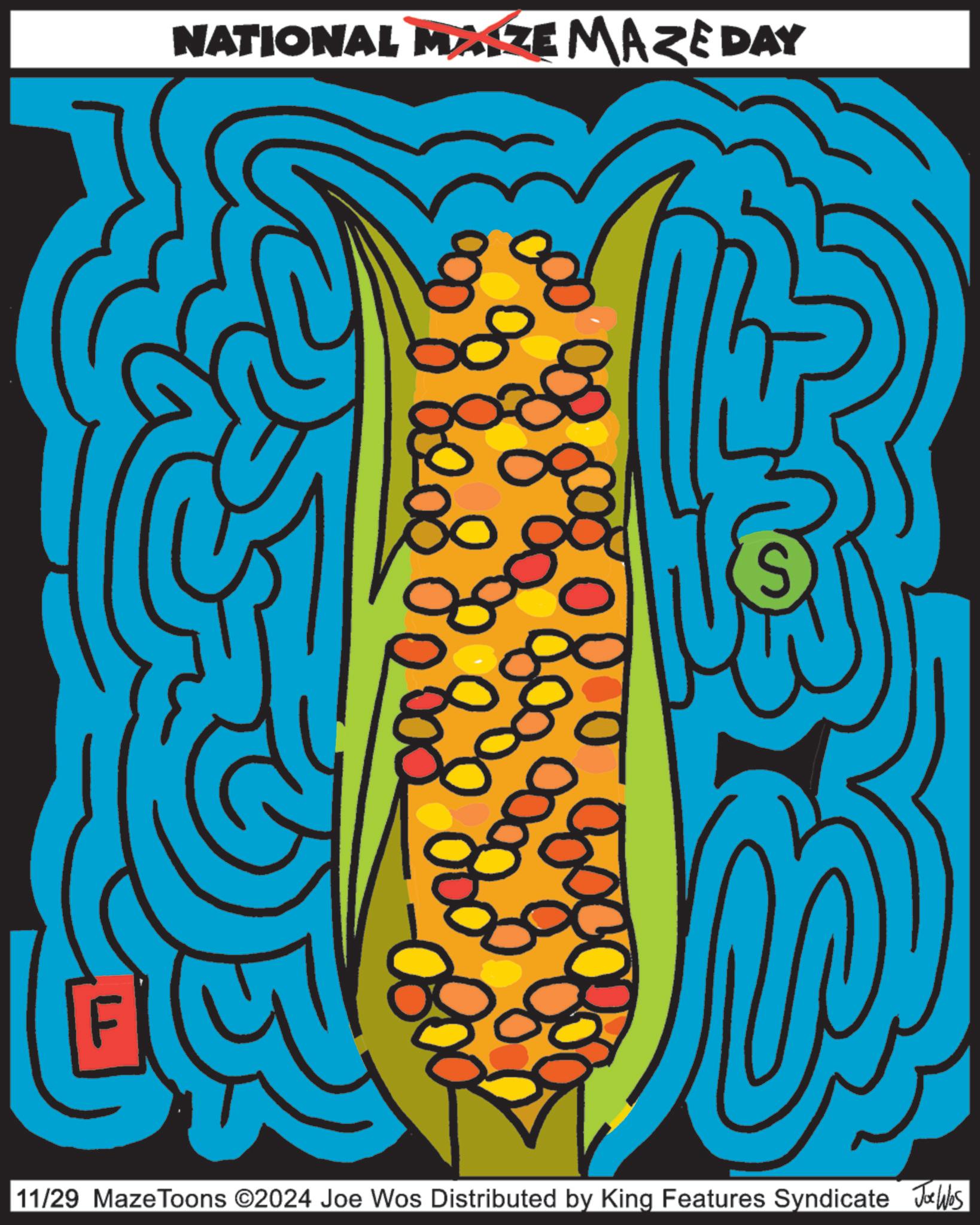 Illustration OCR: NATIONAL MAIZE MAZE DAY 8208 80802 S 11/29 MazeToons ©2024 Joe Wos Distributed by King Features Syndicate Joe Was NATIONAL MAIZE MAZE DAY 8208 80802 S 11/29 MazeToons © 2024 Joe Wos Distributed by King Features Syndicate Joe Was