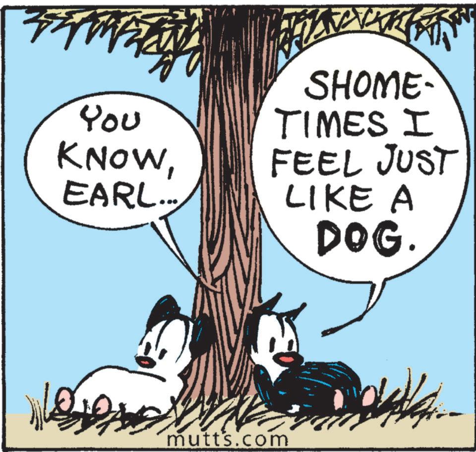 Adaptation OCR: You KNOWEARL... ???? SHOME- TIMES I FEEL JUST LIKE A DOG. mutts.com You KNOWEARL ... ???? SHOME- TIMES I FEEL JUST LIKE A DOG . mutts.com