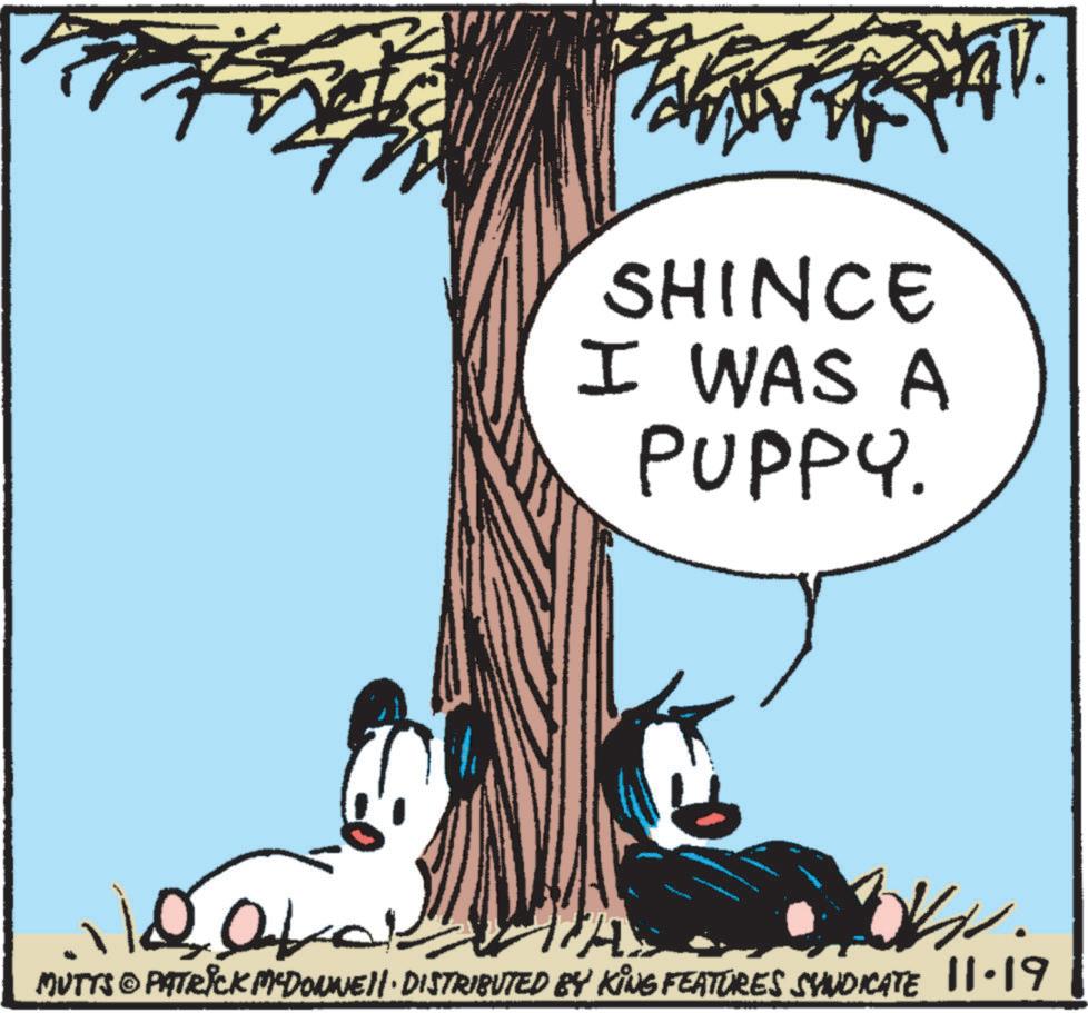 Adaptation OCR: SHINCE I WAS A PUPPY. PA MUTTS PATRICK MEDOWNE· DISTRIBUTED BY KING FEATURES SYNDICATE 11.19 SHINCE I WAS A PUPPY . PA MUTTS PATRICK MEDOWNE · DISTRIBUTED BY KING FEATURES SYNDICATE 11.19