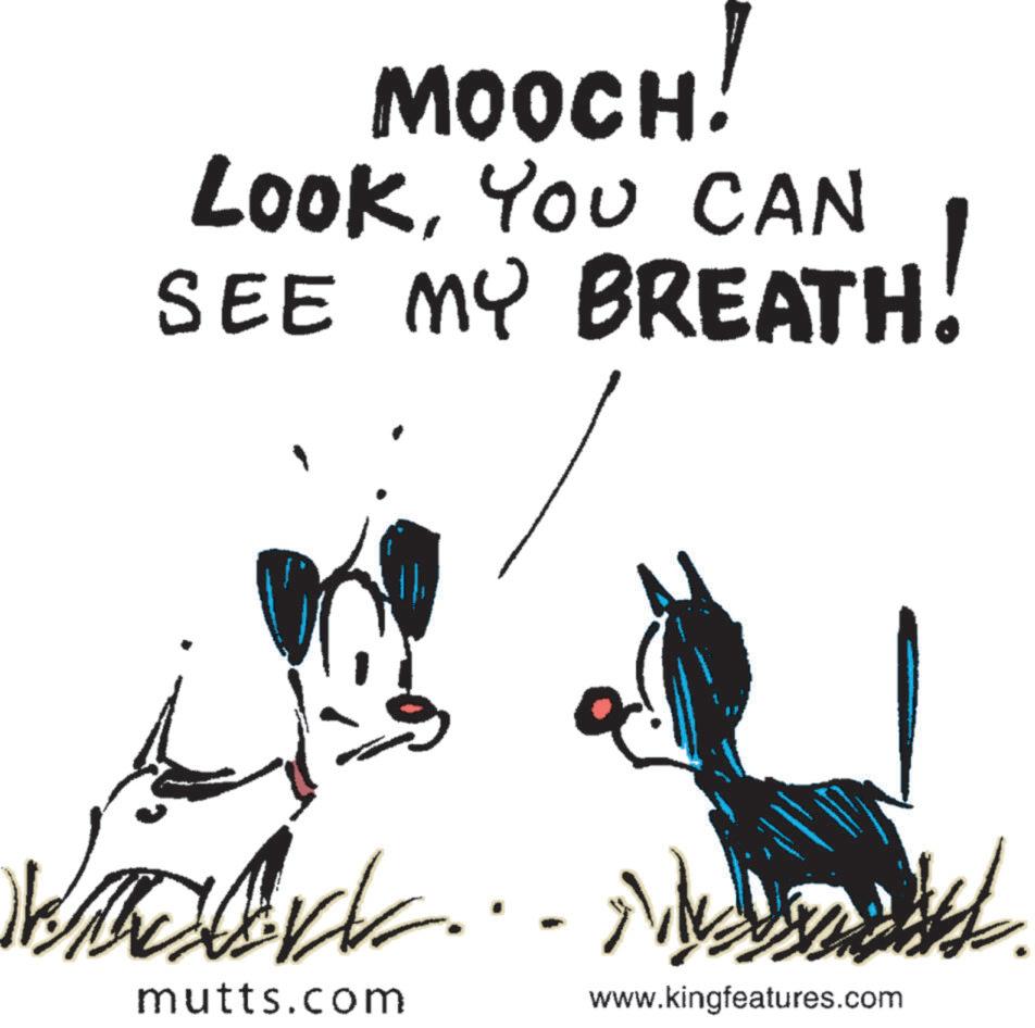 Pleased OCR: MOOCH! LookYou CAN SEE MY BREATH! mutts.com www.kingfeatures.com MOOCH ! LookYou CAN SEE MY BREATH ! mutts.com www.kingfeatures.com