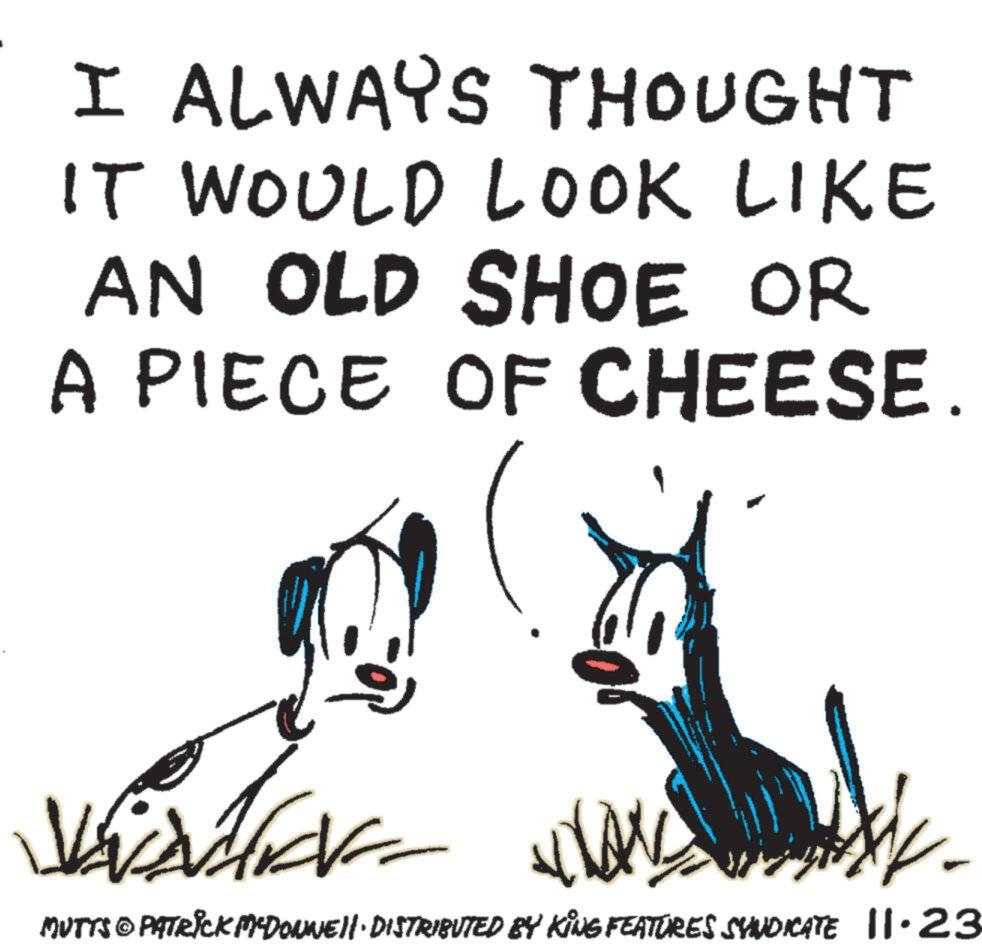 Terrestrial animal OCR: I ALWAYS THOUGHT IT WOULD LOOK LIKE AN OLD SHOE OR A PIECE OF CHEESE. MUTTS © PATRICK MCDONNE· DISTRIBUTED BY KING FEATURES SYNDICATE 11.23 I ALWAYS THOUGHT IT WOULD LOOK LIKE AN OLD SHOE OR A PIECE OF CHEESE . MUTTS © PATRICK MCDONNE · DISTRIBUTED BY KING FEATURES SYNDICATE 11.23