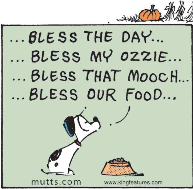 Terrestrial animal OCR: BLESS THE DAY... BLESS MY OZZIE... BLESS THAT MOOCH... BLESS OUR FOOD... mutts.com www.kingfeatures.com BLESS THE DAY ... BLESS MY OZZIE ... BLESS THAT MOOCH ... BLESS OUR FOOD ... mutts.com www.kingfeatures.com