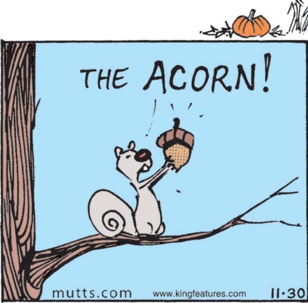 Illustration OCR: THE ACORN! mutts.com www.kingfeatures.com 11.30 THE ACORN ! mutts.com www.kingfeatures.com 11.30