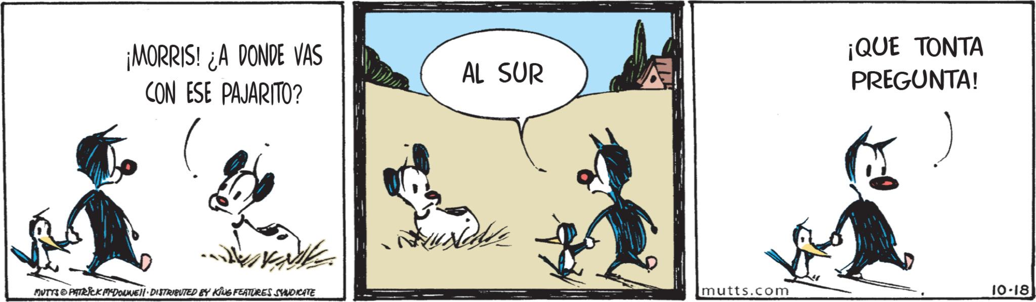 Fiction OCR: ¡MORRIS! ¿A DONDE VAS CON ESE PAJARITO? MUTYS PATRICK MADONNE DISTRIBUTED BY KING FEATURES SYNDICATE AL SUR ¡QUE TONTA PREGUNTA! mutts.com 10.18 ¡ MORRIS ! ¿ A DONDE VAS CON ESE PAJARITO ? MUTYS PATRICK MADONNE DISTRIBUTED BY KING FEATURES SYNDICATE AL SUR ¡ QUE TONTA PREGUNTA ! mutts.com 10.18