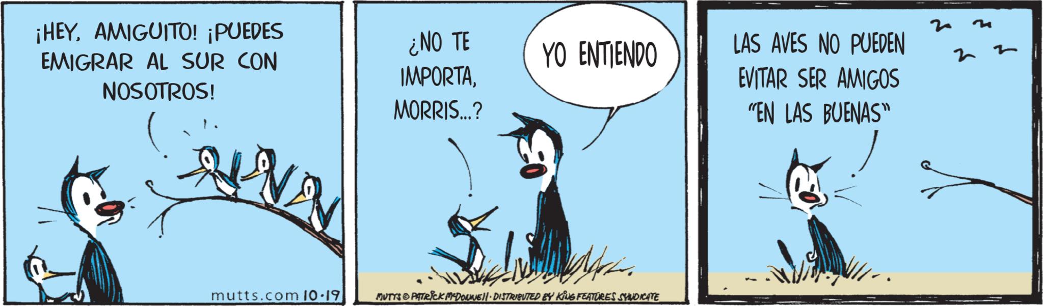 Drawing OCR: ¡HEYAMIGUITO! ¡PUEDES EMIGRAR AL SUR CON NOSOTROS! ¿NO TE IMPORTAMORRIS...? mutts.com 10.19 YO ENTIENDO LAS AVES NO PUEDEN EVITAR SER AMIGOS MUTYS PATRICK DONE!!· DISTRIBUTED BY KING FEATURES SYNDICATE "EN LAS BUENAS" ¡ HEYAMIGUITO ! ¡ PUEDES EMIGRAR AL SUR CON NOSOTROS ! ¿ NO TE IMPORTAMORRIS ... ? mutts.com 10.19 YO ENTIENDO LAS AVES NO PUEDEN EVITAR SER AMIGOS MUTYS PATRICK DONE !! · DISTRIBUTED BY KING FEATURES SYNDICATE " EN LAS BUENAS "