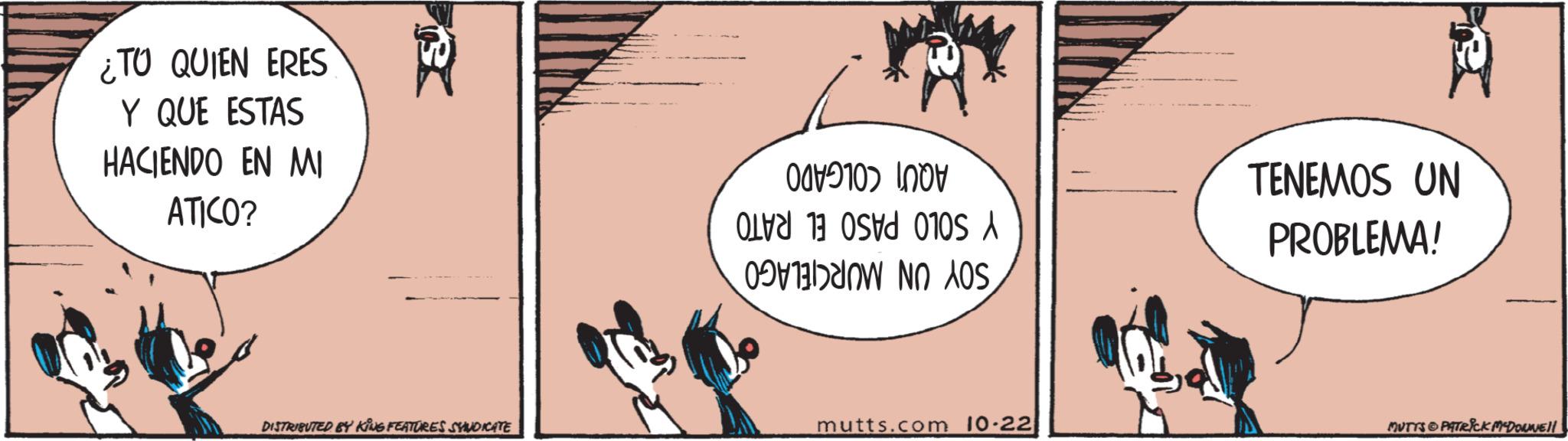 Rectangle OCR: ¿TO QUIEN ERES Y QUE ESTAS HACIENDO EN MI ATICO? 007910) NOV CL 0S A NAOSTENEMOS UN PROBLEMA! DISTRIBUTED BY KING FEATURES SYNDICATE mutts.com 10.22 MUTTS & PATRICK McDowell ¿ TO QUIEN ERES Y QUE ESTAS HACIENDO EN MI ATICO ? 007910 ) NOV CL 0S A NAOSTENEMOS UN PROBLEMA ! DISTRIBUTED BY KING FEATURES SYNDICATE mutts.com 10.22 MUTTS & PATRICK McDowell