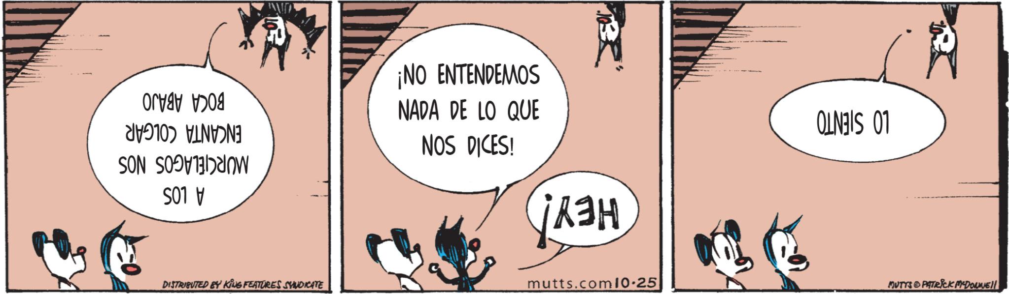 Fiction OCR: A LOS BOCA ABAJO ENCANTA COLGAR MURCIELAGOS NOS DISTRIBUTED BY KING FEATURES SYNDICATE ¡NO ENTENDEMOS NADA DE LO QUE NOS DICES! LO SIENTO HEY! mutts.com10.25 MUTTS & PATRICK MYDONNEll A LOS BOCA ABAJO ENCANTA COLGAR MURCIELAGOS NOS DISTRIBUTED BY KING FEATURES SYNDICATE ¡ NO ENTENDEMOS NADA DE LO QUE NOS DICES ! LO SIENTO HEY ! mutts.com10.25 MUTTS & PATRICK MYDONNEll