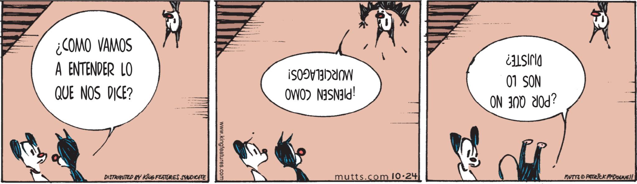 Slope OCR: ¿COMO VAMOS A ENTENDER LO QUE NOS DICE? www.kingfeatures.com DISTRIBUTED BY KING FEATURES SYNDICATE MURCIELAGOS! ¡PIENSEN COMO mutts.com 10.24 DIJISTE? NOS LO ¿POR QUE NO MUTTS PATRICK MADONNEL! ¿ COMO VAMOS A ENTENDER LO QUE NOS DICE ? www.kingfeatures.com DISTRIBUTED BY KING FEATURES SYNDICATE MURCIELAGOS ! ¡ PIENSEN COMO mutts.com 10.24 DIJISTE ? NOS LO ¿ POR QUE NO MUTTS PATRICK MADONNEL !
