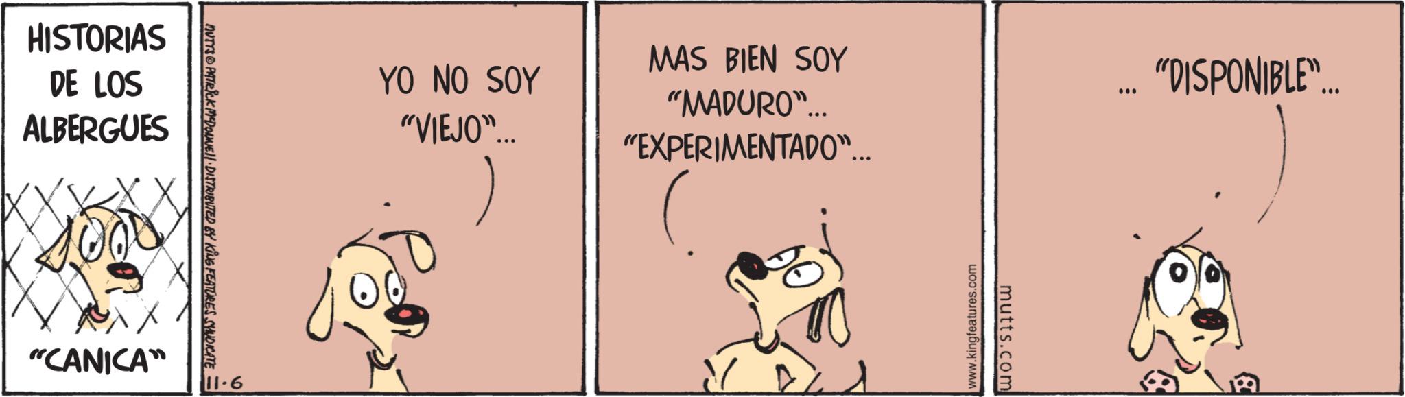 Illustration OCR: HISTORIAS DE LOS ALBERGUES 11-6 MUTTS PATRICK MADONNEN DISTRIBUTED BY KING FEATURES SYNDICATE = "CANICA" YO NO SOY "VIEJO"... MAS BIEN SOY "DISPONIBLE"... "MADURO"... "EXPERIMENTADO"... www.kingfeatures.com mutts.com HISTORIAS DE LOS ALBERGUES 11-6 MUTTS PATRICK MADONNEN DISTRIBUTED BY KING FEATURES SYNDICATE = " CANICA " YO NO SOY " VIEJO " ... MAS BIEN SOY " DISPONIBLE " ... " MADURO " ... " EXPERIMENTADO " ... www.kingfeatures.com mutts.com