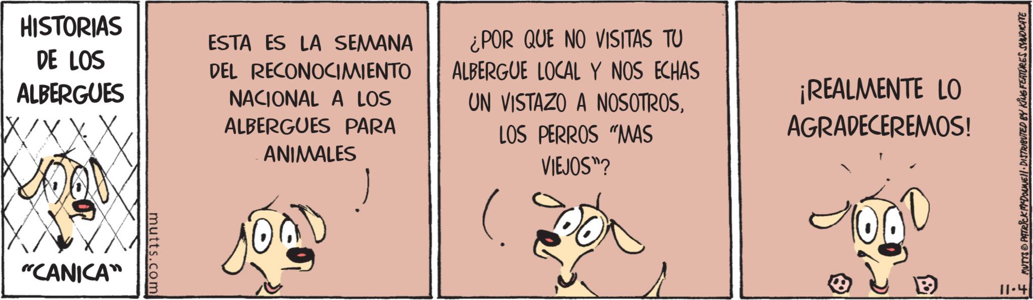 Bovine OCR: HISTORIAS DE LOS ALBERGUES "CANICA" mutts.com ESTA ES LA SEMANA DEL RECONOCIMIENTO NACIONAL A LOS ALBERGUES PARA ANIMALES ¿POR QUE NO VISITAS TU ALBERGUE LOCAL Y NOS ECHAS UN VISTAZO A NOSOTROSLOS PERROS "MAS ( VIEJOS"? ¡REALMENTE LO AGRADECEREMOS! 1000 11.4 MUTTS PATRICK MADONNE!! · DISTRIBUTED BY KING FEATURES SYNDICATE HISTORIAS DE LOS ALBERGUES " CANICA " mutts.com ESTA ES LA SEMANA DEL RECONOCIMIENTO NACIONAL A LOS ALBERGUES PARA ANIMALES ¿ POR QUE NO VISITAS TU ALBERGUE LOCAL Y NOS ECHAS UN VISTAZO A NOSOTROSLOS PERROS " MAS ( VIEJOS " ? ¡ REALMENTE LO AGRADECEREMOS ! 1000 11.4 MUTTS PATRICK MADONNE !! · DISTRIBUTED BY KING FEATURES SYNDICATE